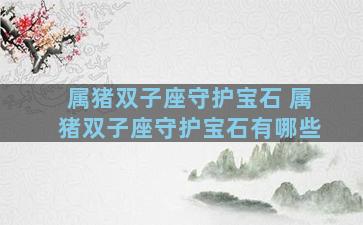 属猪双子座守护宝石 属猪双子座守护宝石有哪些